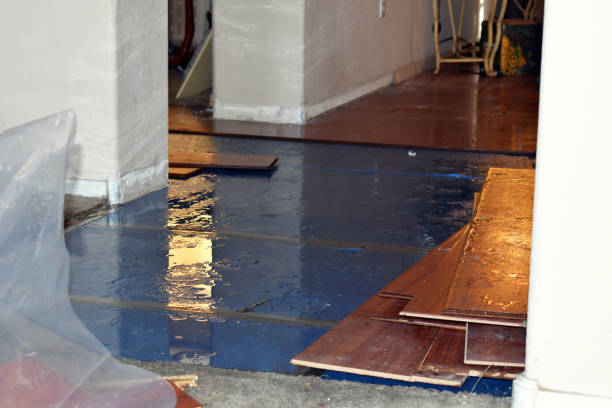 Professional Water Extraction technician working in Earth, TX